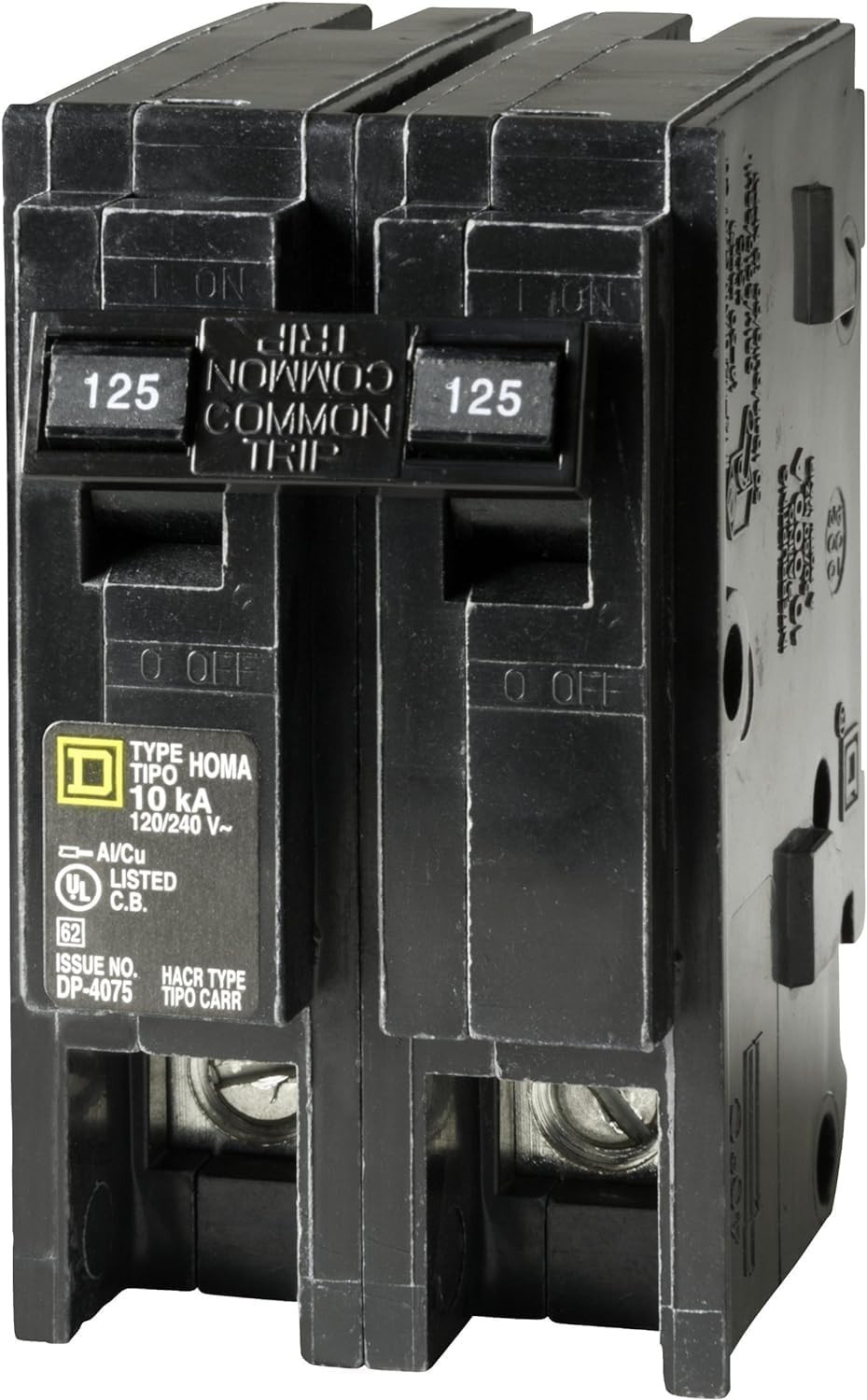 Square D Homeline 125 Amp 2 Pole Standard Circuit Breaker – Residential Use