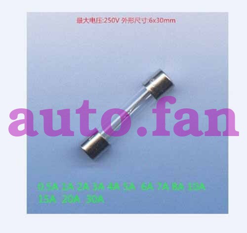 For F10AL250V 6*30mm diameter 6 mm length 3 cm 10A 250V glass fuse tube 100